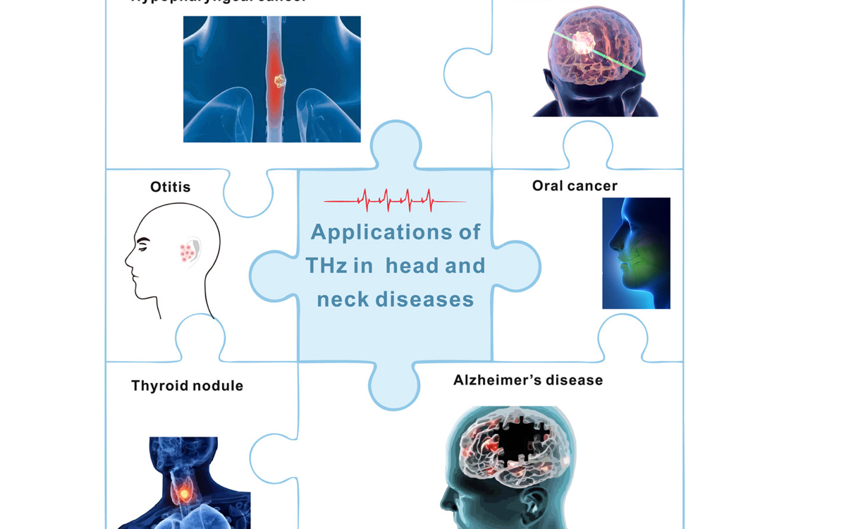 Terahertz Therapy